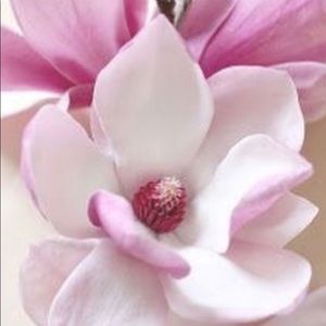 Meet your Posher, Sharonda